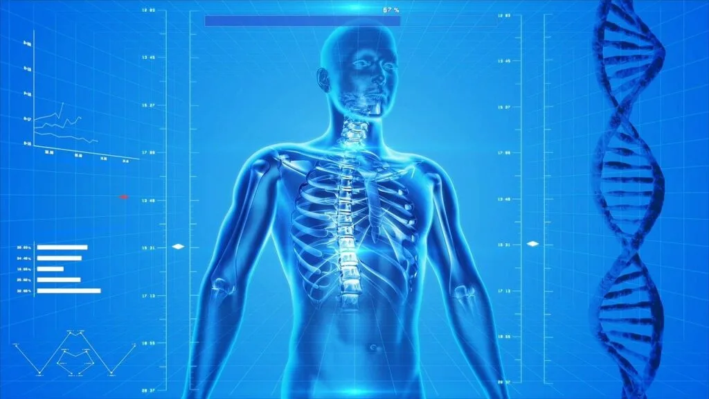 7+Facts about Human body मानव शरीर के बारे में तथ्य भाग 1 7+Facts about Human body मानव शरीर के बारे में तथ्य भाग 1