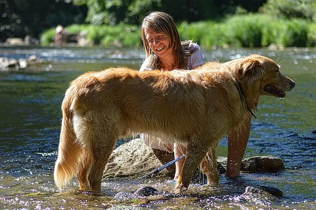 Dog Grooming: 7+ Complete Guide to Keeping Your Dog Healthy and Happy ๐ถ Dog grooming tools and supplies