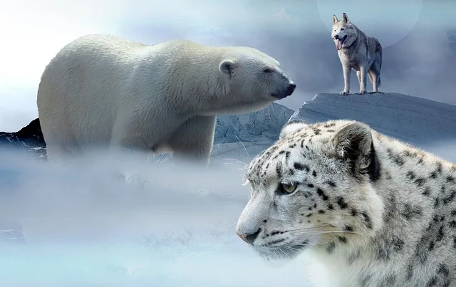 Essay on climate change