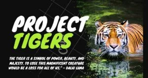 Project Tiger