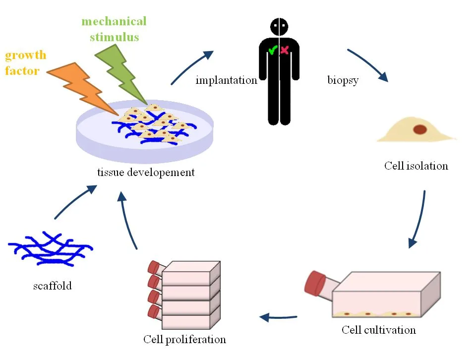 Biotechnology